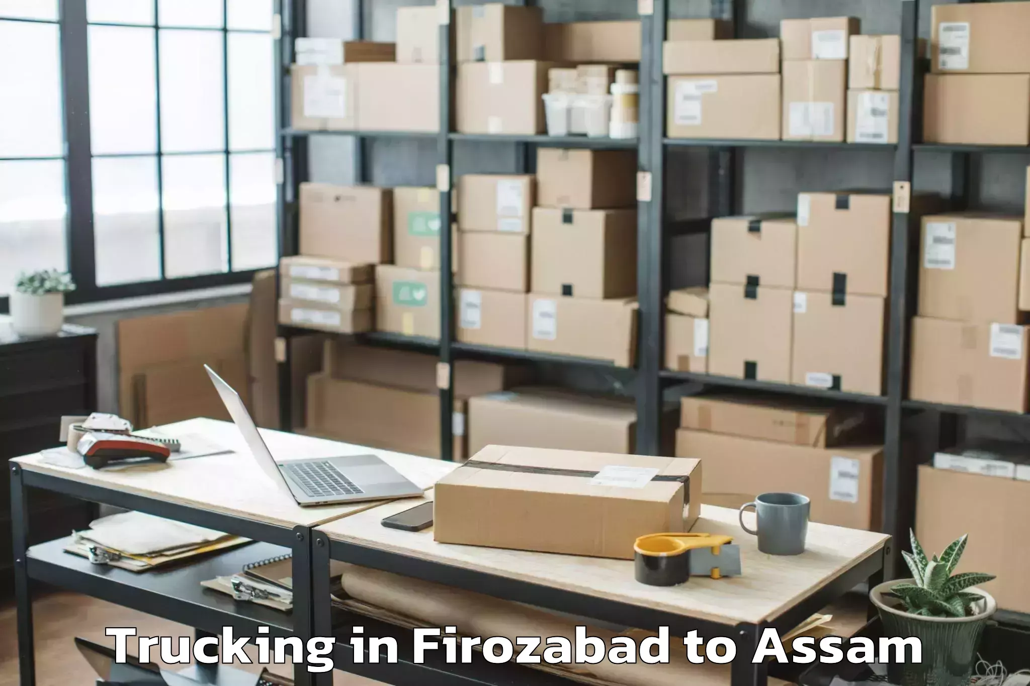 Professional Firozabad to Salonibari Airport Tez Trucking